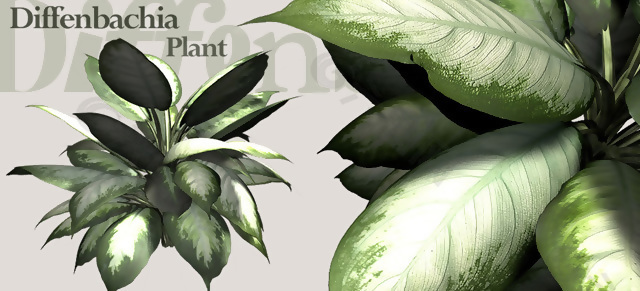 植物3D模型素材（20080502更新）2