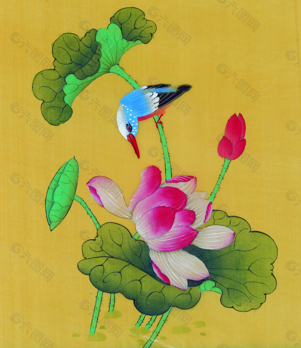 花鳥荷花