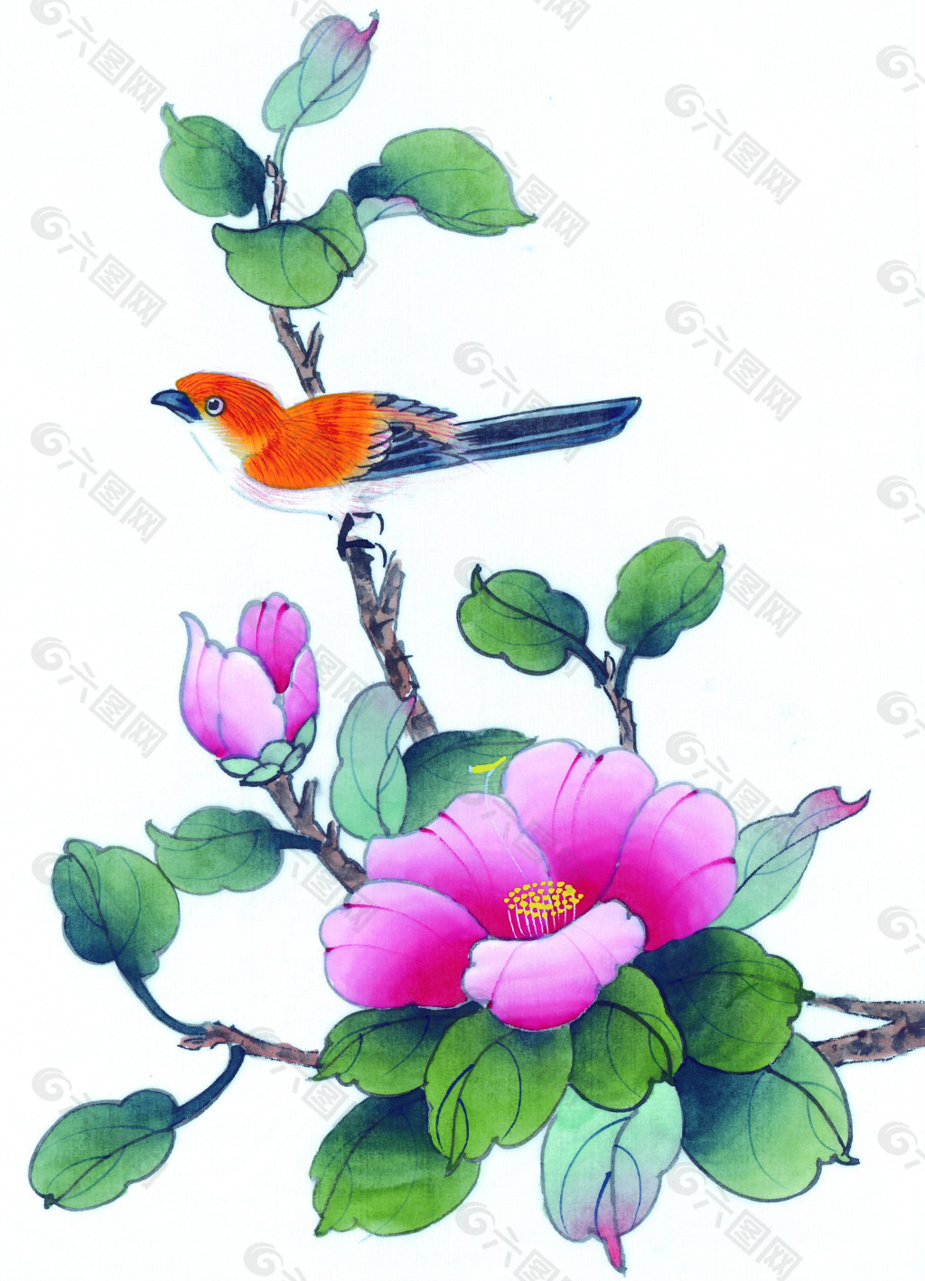 花鸟虫鱼