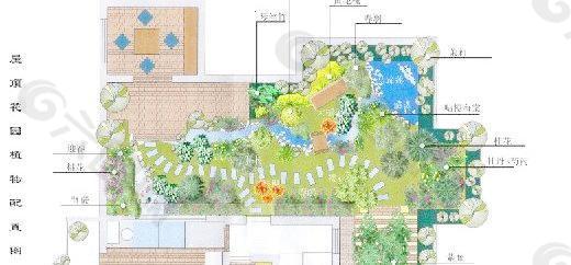 屋顶花园植物配置彩色平面图