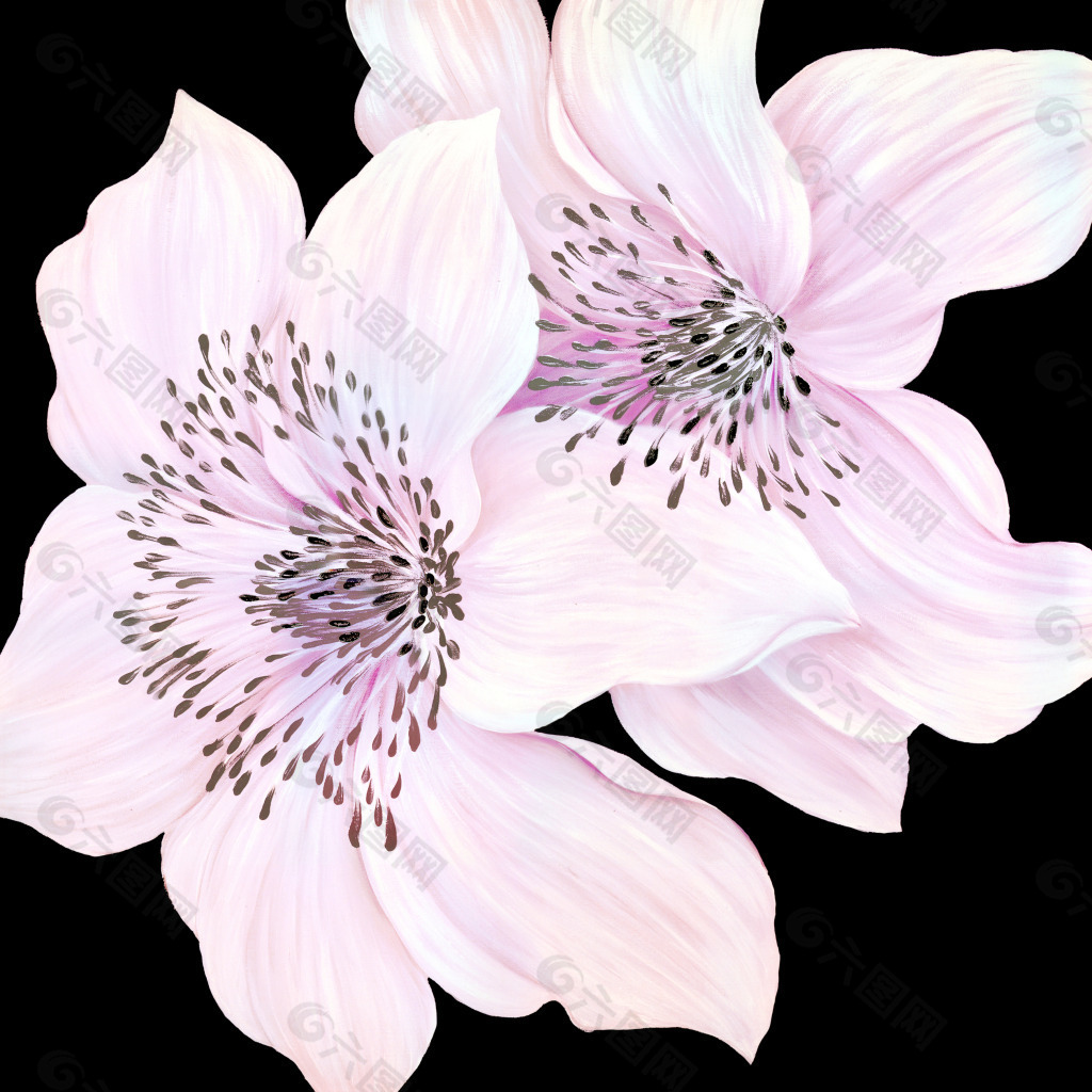 油畫花朵圖