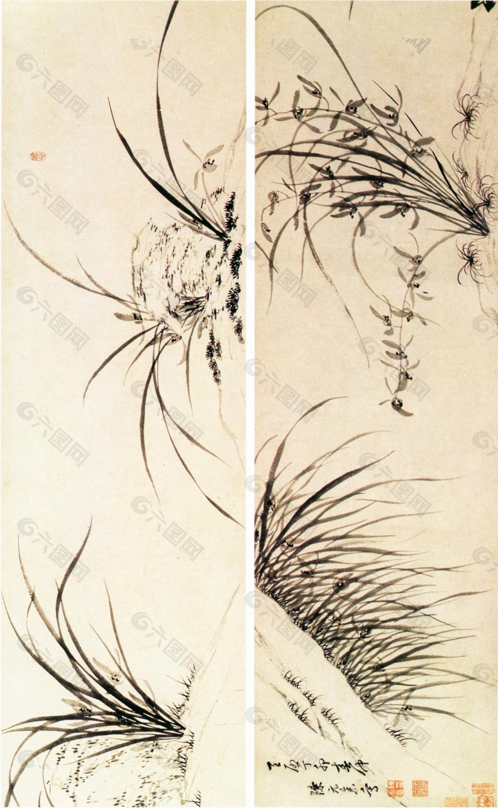 寫意蘭草