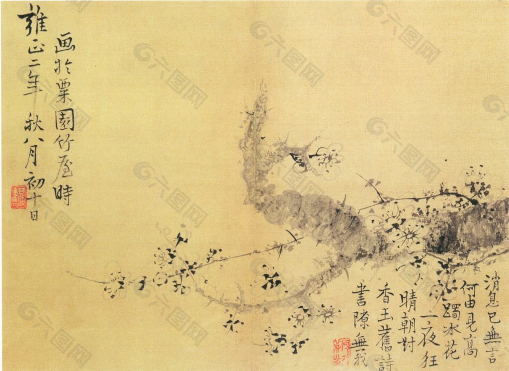 冬梅