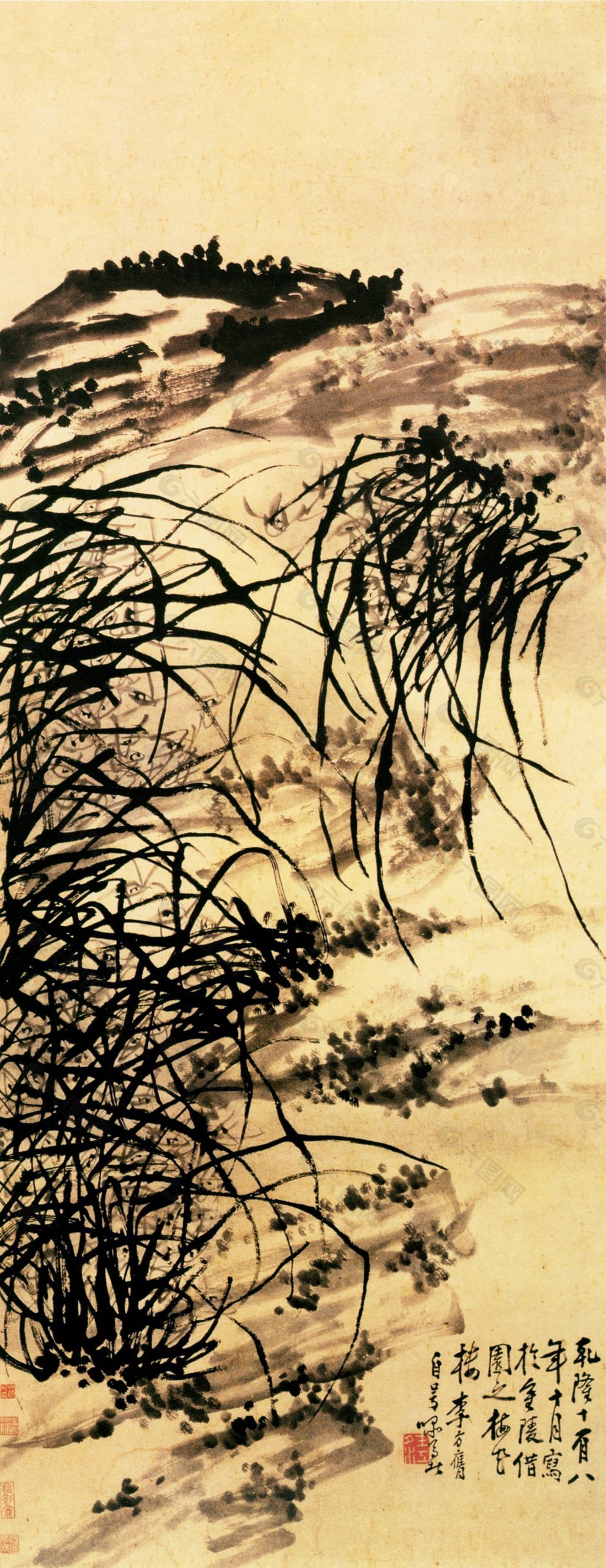 雜草叢生