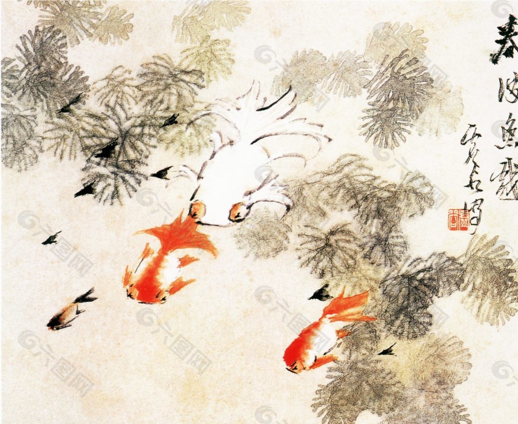 水中的魚(yú)兒