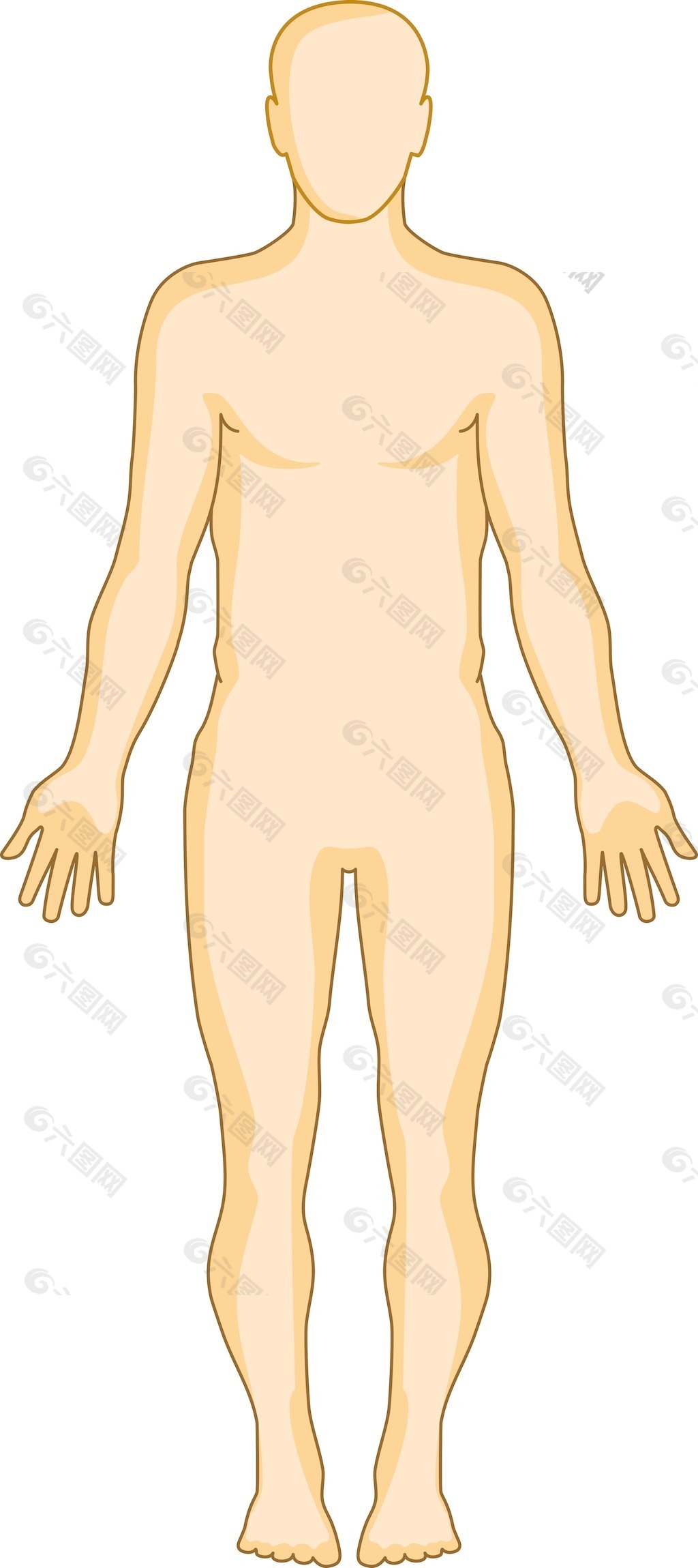 人循環(huán)系統