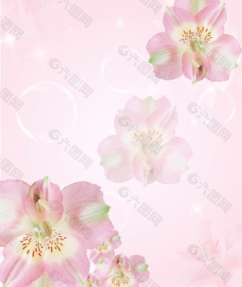 推拉門(mén)貼圖