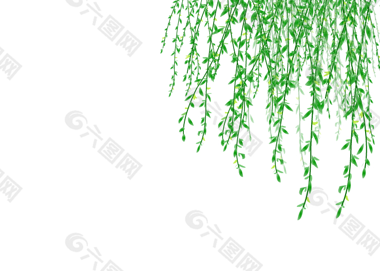 柳枝