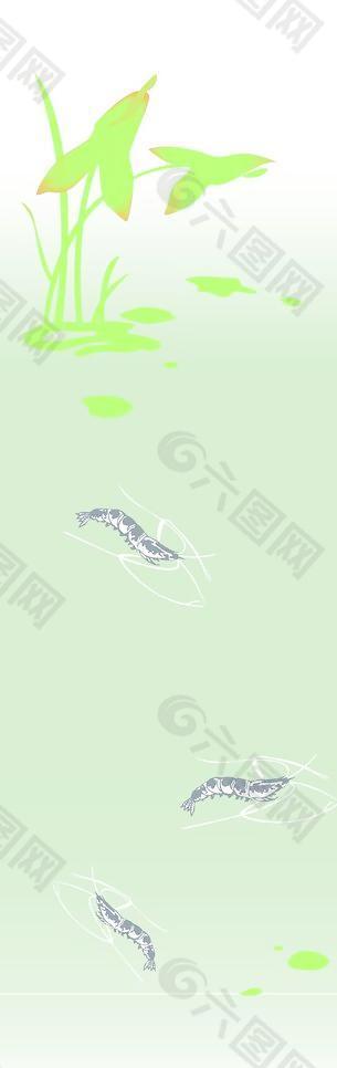 荷花 蝦