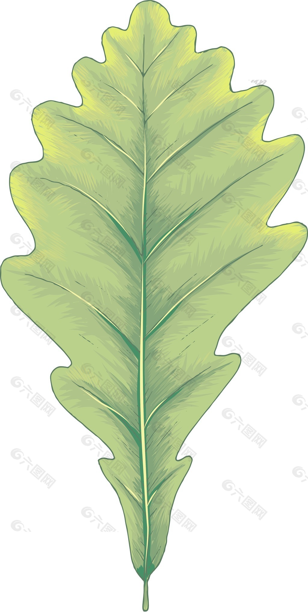 矢量葉