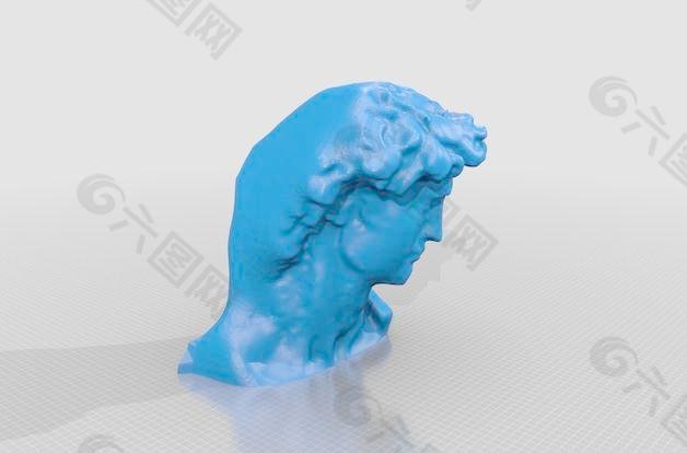 戴維的頭部掃描