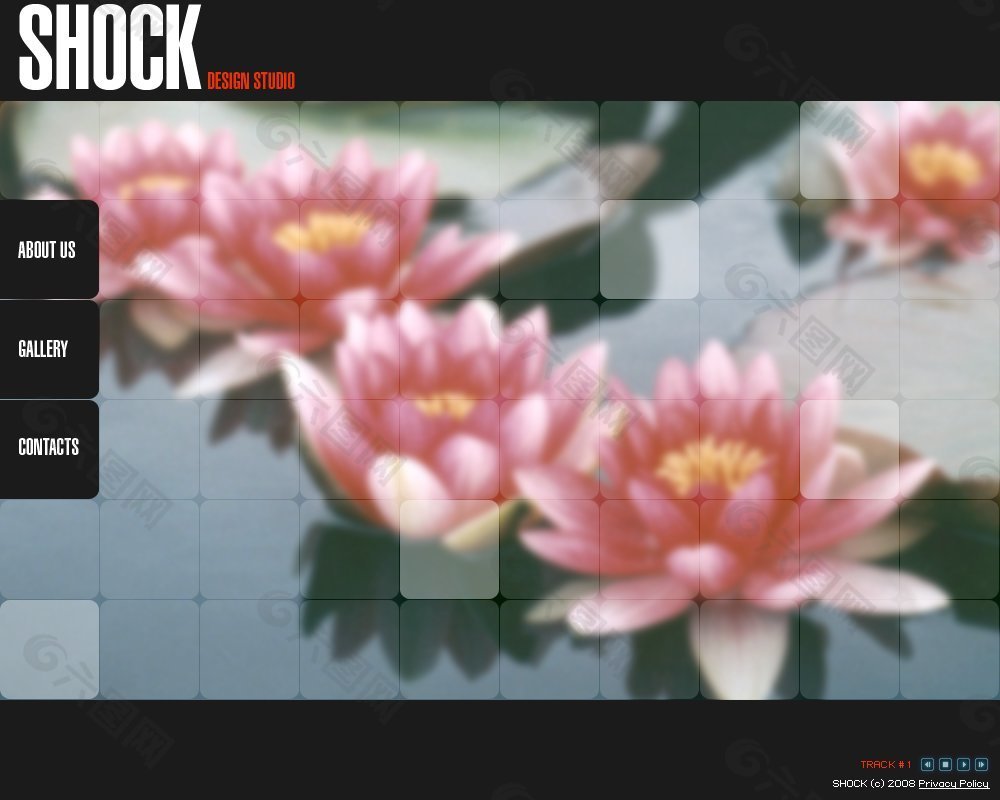 蓮花背景網站psd模板