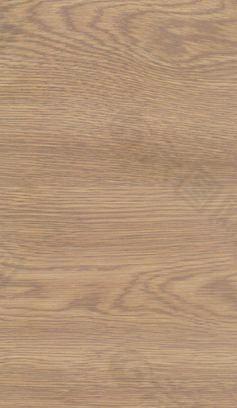 橡木-06 木纹_木纹板材_木质