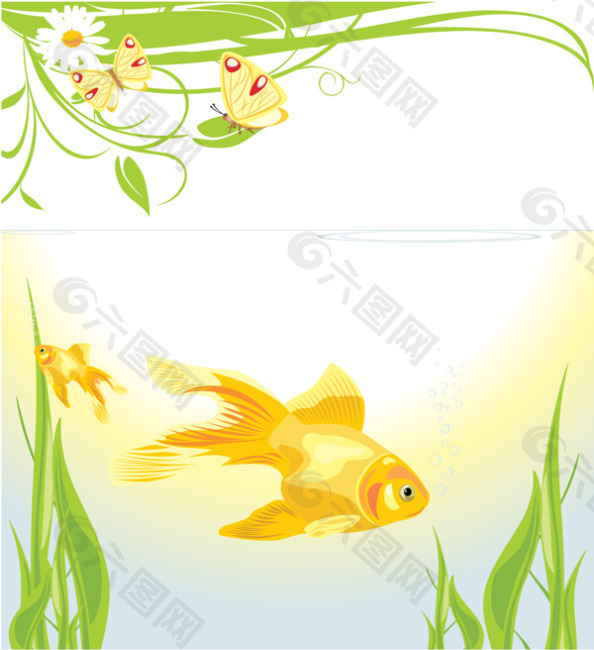 金魚水泡背景