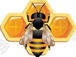 蜜蜂与蜂蜜