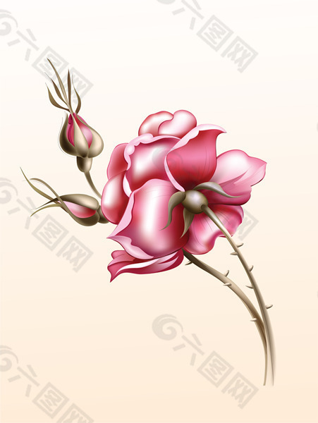 玫瑰花矢量圖