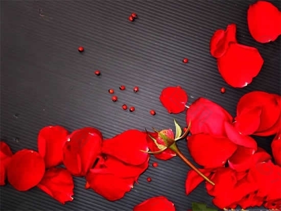 玫瑰花瓣PPT模板