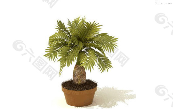 3D室内植物模型