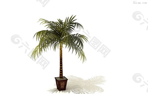 3D室內(nèi)植物模型