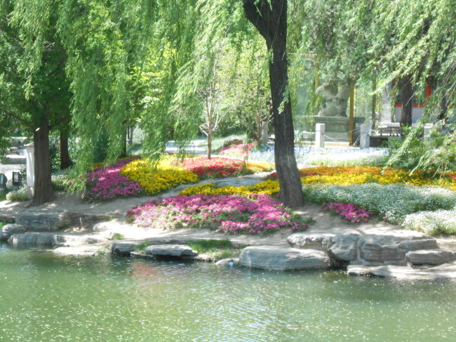 風(fēng)景