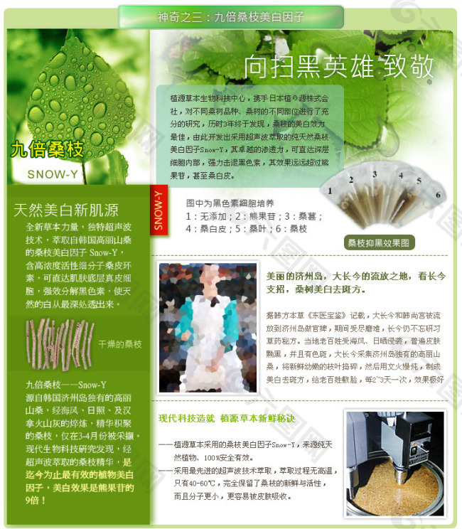 淘寶化妝品詳情頁裝修模版美白草本化妝品