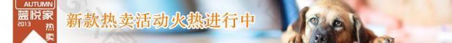 寵物淘寶拍拍特賣宣傳圖圖片