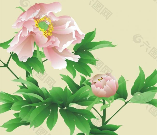玻璃插畫圖圖片
