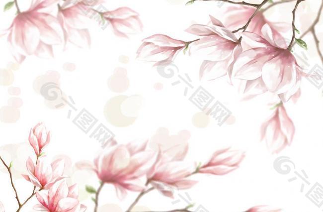 手繪粉色 花朵圖片