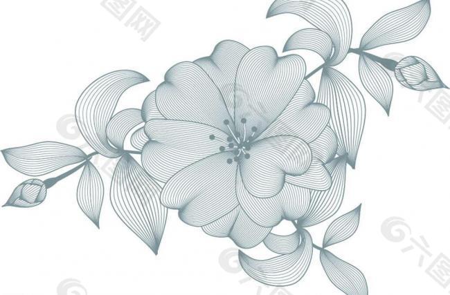 鮮花花朵圖片