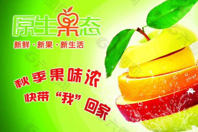 原生果態 吊旗    水果