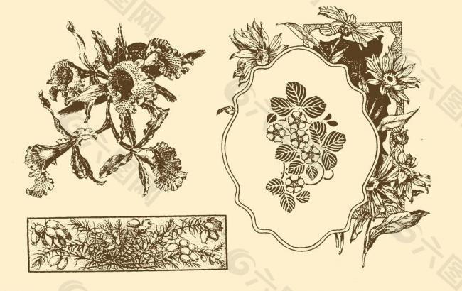 植物裝飾畫(huà)圖片