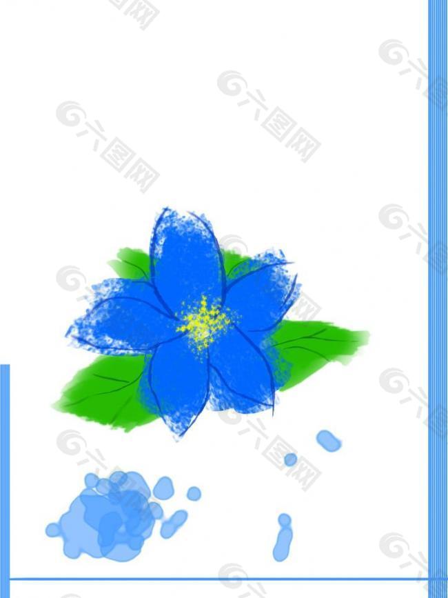 藍(lán)色 花圖片