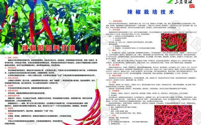 辣椒 三農(nóng)資訊圖片