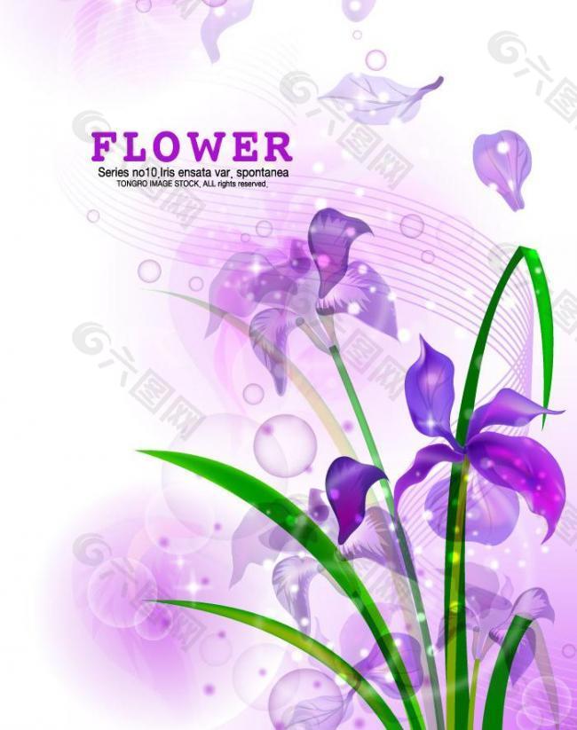 動(dòng)感線條時(shí)尚花紋夢(mèng)幻花紋花朵圖片