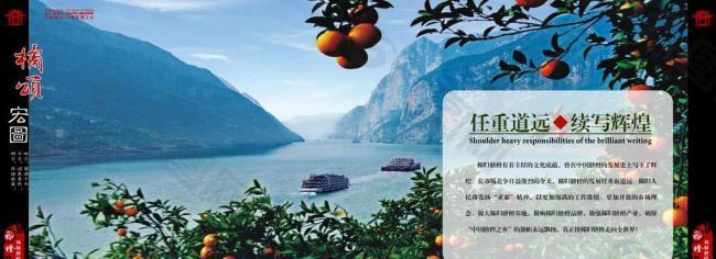 臍橙畫冊設計圖片