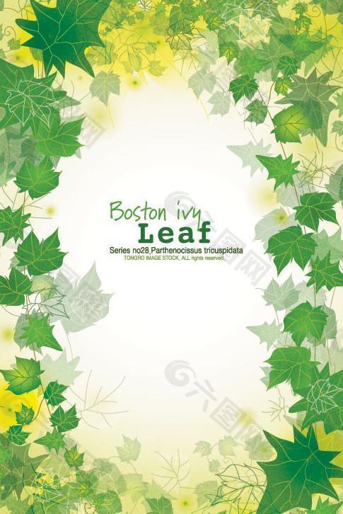 綠葉花紋 底紋 展板圖片