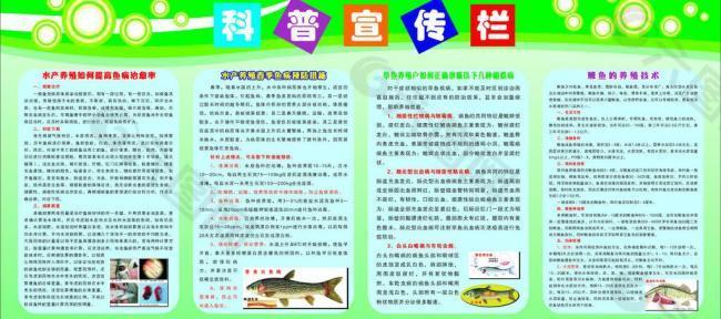 科普宣傳欄圖片