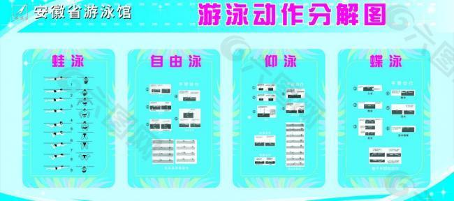 游泳动作分解图图片