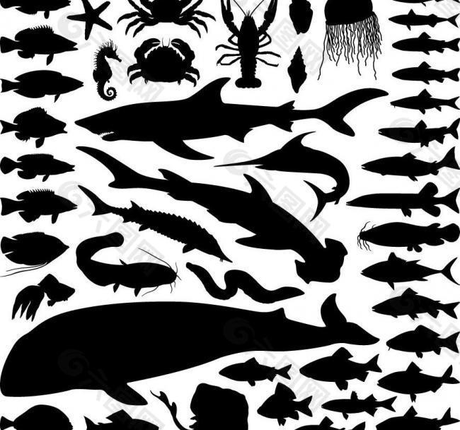 海洋生物剪影圖片