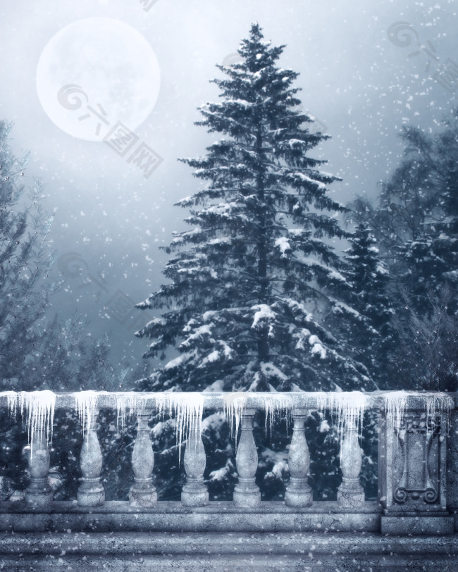 月光下的雪天背景