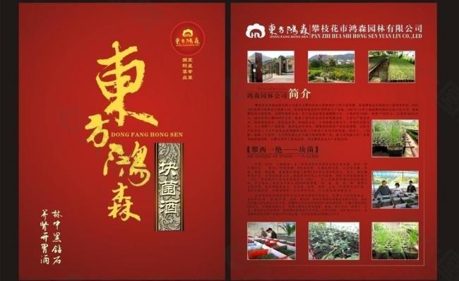 塊菌酒 dm單圖片