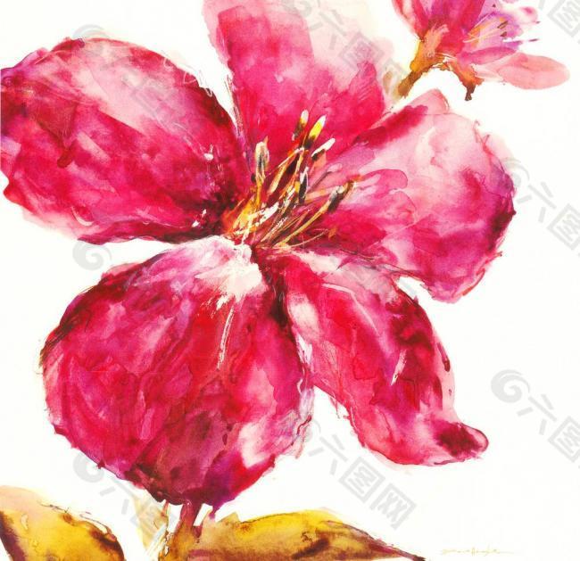 油畫花卉圖片