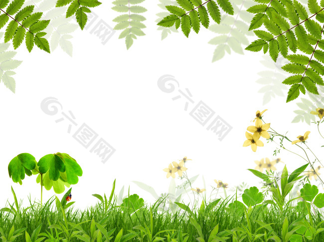 綠色草地樹葉背景
