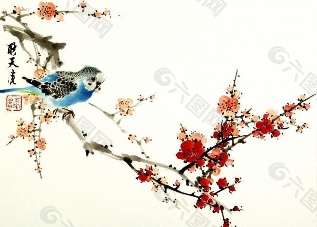 藍(lán)鸚鵡梅花圖片
