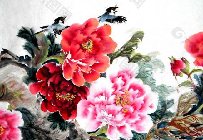 花香鳥語圖片