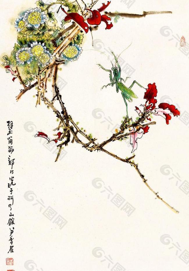 花蟲圖圖片