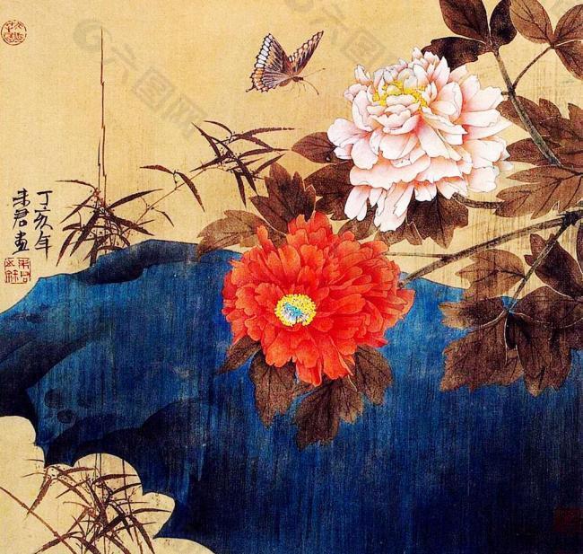 芳香圖片