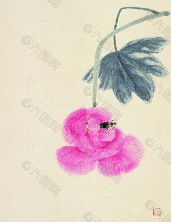 采蜜圖片