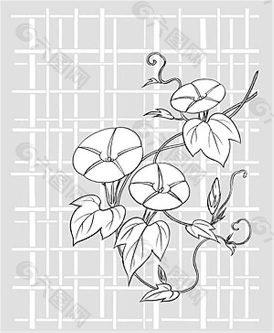牽牛花喇叭花矢量素材