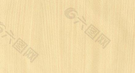 桦木-2 木纹_木纹板材_木质